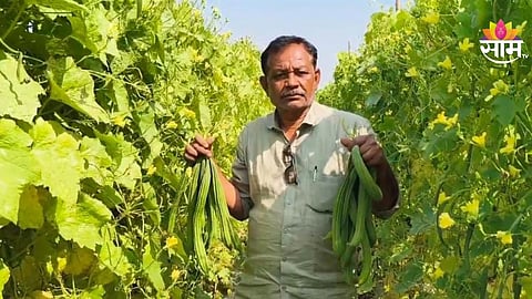Vegetable farming success story of Nanded farmer