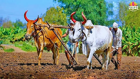 Farmers Loan Waiver Date Finalized: