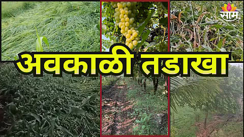 अवकाळी तडाखा, शेतकरी हतबल