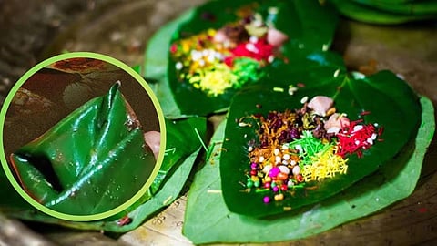 Fulchand Pan health risks