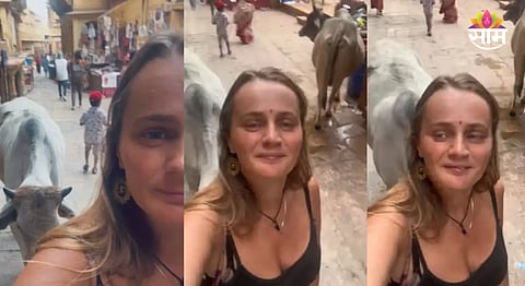 woman making reel with bull viral video