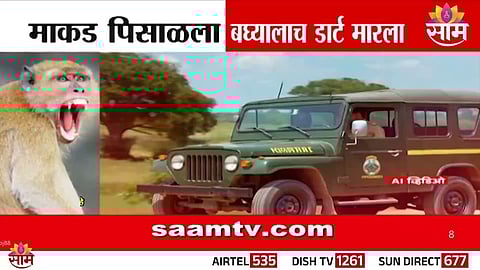 forest department dart hits man :