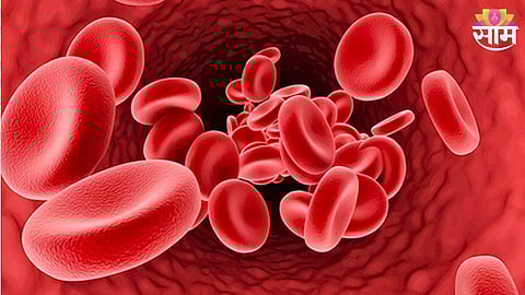 Bone Marrow Transplant Success Story