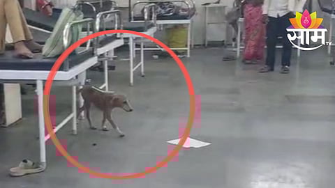 amaravati news update