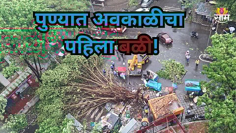 Pune Rain: पुण्यात अवकाळीचा पहिला बळी, अंगावर झाड कोसळून महिलेचा मृत्यू; ३ तासांपासून पावसाचा कहर सुरू, पाहा VIDEO