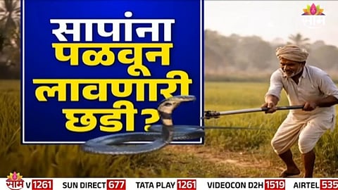 Snake Video: सापांना पळवून लावणारी छडी? व्हायरल व्हिडिओमागचं सत्य काय?