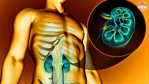 Kidney Damage Habits