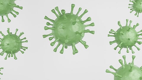 Green fungus Patient has found in the country