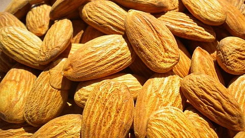 almond.