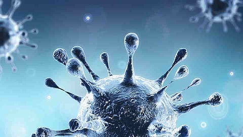 coronavirus