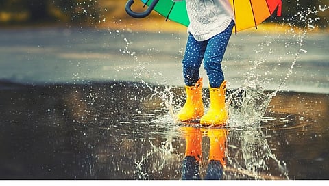 Monsoon update of Maharashtra