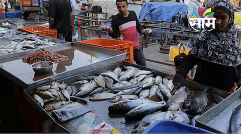 Mumbai Fish Market