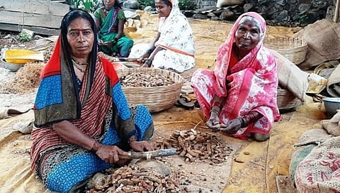Tamarind Breaking giving good earning to Rural women in Pune District