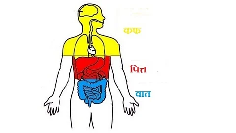 vata cough bile.jpg