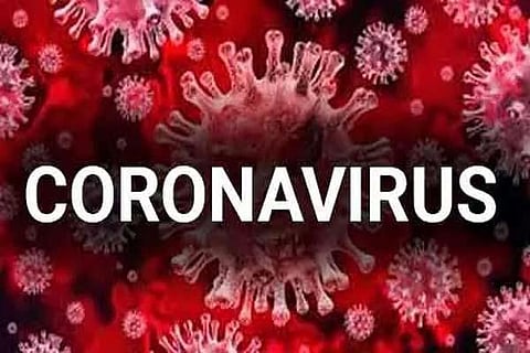 WEB विशेष | कोरोनाच्या सगळ्या शंकांचं निरसन या एका क्लिकवर...