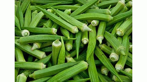 भेंडीच्या भाजीनंतर 'या गोष्टी' खाऊ नका