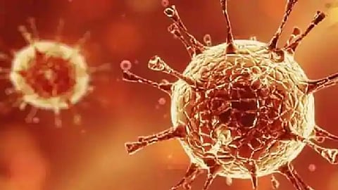 दु:खद बातमी| गेल्या 24 तासात कोरोनाने केला कहर