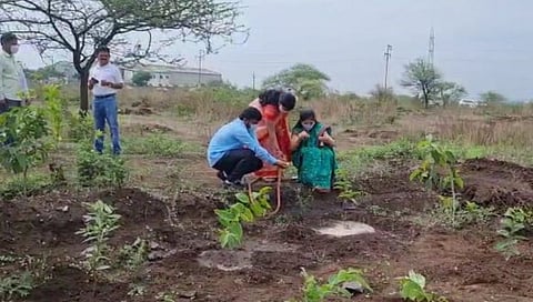 Tree planting on Nareshwar hill in Pune on the occasion of World Environment Day