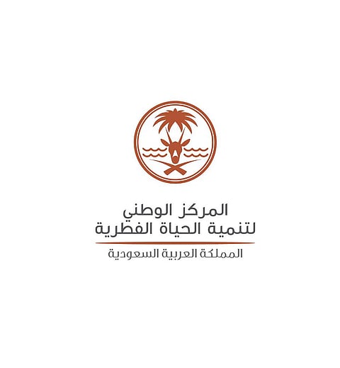 "الحياة الفطرية" تُطلق 170 كائناً فطرياً بمحمية الملك سلمان الملكية