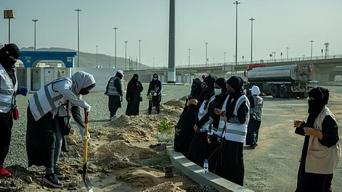 تتم زراعة أنواع من الأشجار تتلاءم مع طبيعة مكة المكرمة