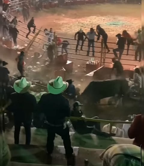 فيديو الثور الهائج.. حطم الأسوار وهذا ما فعله بالجمهور