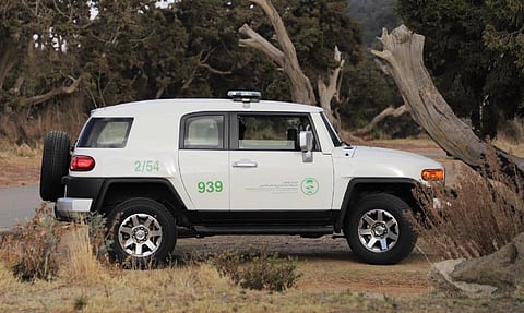 مركز الغطاء النباتي يطلق 100 دورية لحماية ومراقبة الغابات في عسير