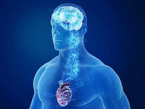 ليس في القلب.. العلماء يعثرون على "مركز الحب" لدى الإنسان