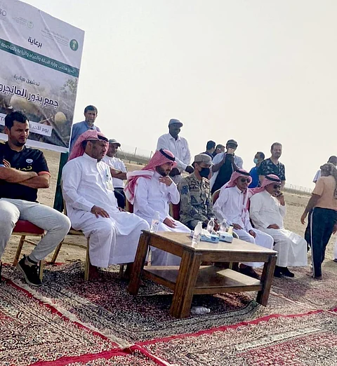 انطلاق مبادرة زراعة المانجروف بمكة