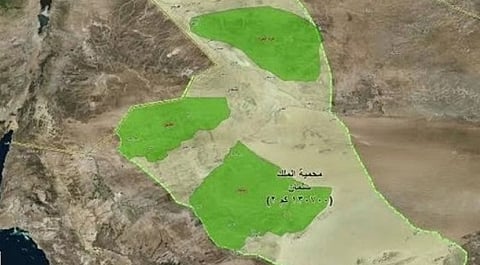 هيئة تطوير محمية الملك سلمان تزرع 200 شجرة طلح في حرة الحرة