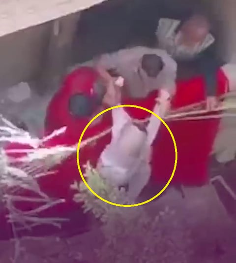 بعد الفيديو الصادم.. قصة مختلفة وبراءة الأب من محاولة إلقاء ابنته من البلكونة