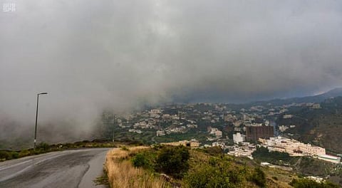 الباحة