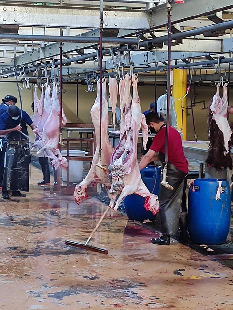 استعدادات مكثفة لاستقبال مرتادي أسواق النفع العام والمسالخ بالطائف