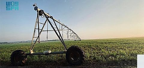 "البيئة" تطرح 4 فرص استثمارية لمشاريع زراعية وحيوانية بمكة والقصيم وجازان