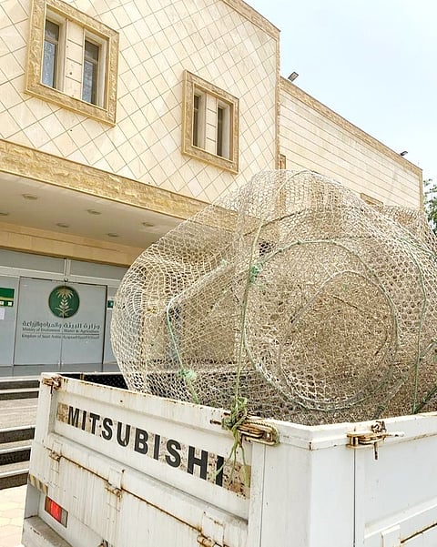 "حدود جدة" يضبط 9 أشخاص بينهم 3 مقيمين لمخالفتهم أنظمة الصيد البحري