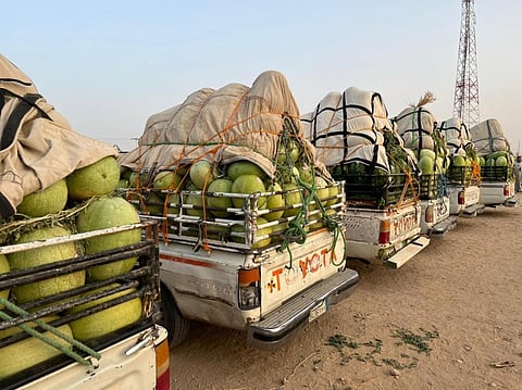 سوق الحبحب بوادي الدواسر