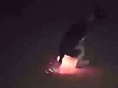 "البيئة" تؤكد متابعة المتورطين في فيديو "حرق الكلاب" لمعاقبتهم وفق الأنظمة