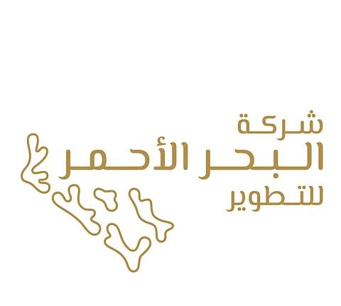 اكتشاف بقايا زواحف بحرية تعود لـ 80 مليون سنة غرب المملكة