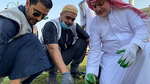 رائد سمرقندي يشارك في زراعة الشتلات بحديقة مسجد السيدة عائشة بالتنعيم