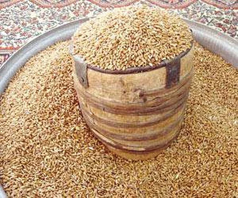 "صاع الأجداد".. أحد أبرز عادات الحائليين في توزيع زكاة الفطر