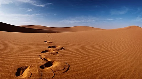 بعد 12 ساعة.. العثور على مقيم سوداني "راعي إبل" تائهاً بصحراء جنوب المهد