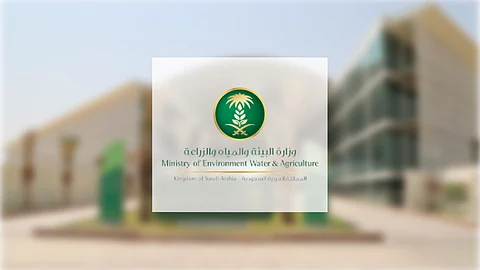 "البيئة" تبدأ تسجيل الحيازات الزراعية عبر البرنامج المطور "حصر"