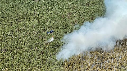 جانب من حرائق ألمانيا