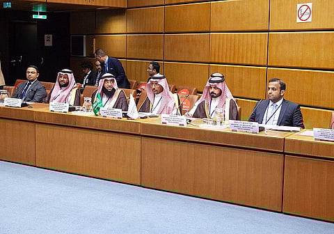 وزير الصناعة يزور منظمة الأمم المتحدة للتنمية الصناعية في فيينا