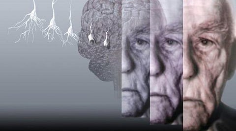 جَد يقتل حفيدته في اليابان.. وما حدث له بعد الجريمة يحير العلماء والباحثين