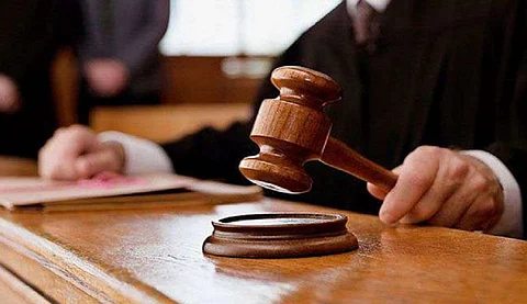قَتَل 60 فأرًا انتقامًا من زميلته.. الحبس 6 أشهر لجامعي في مصر