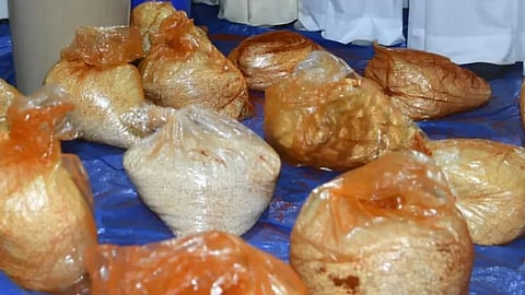 استمرار استهداف دول الخليج.. الكويت تضبط ملايين حبات الكبتاغون في حاويات مواد غذائية