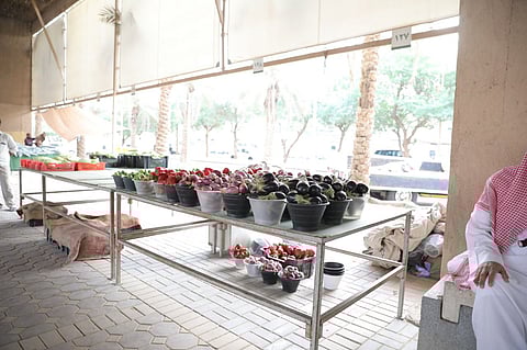 يوم المزارع الأسبوعي يكمل عامه العاشر في "مروج الرياض" بحضور واسع