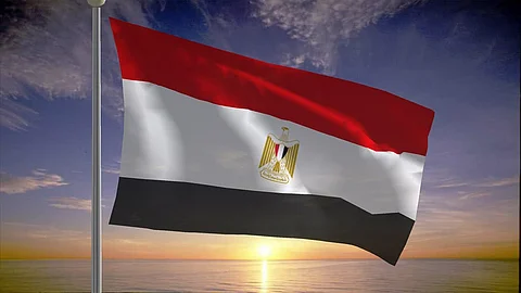 مصر.. المتهم بقتل طالبة المنصورة يبرر جريمته: أهلها السبب واسألوا أمها و"البلطجية"