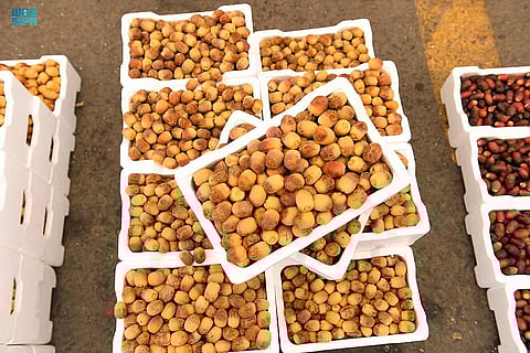 لأول مرة منذ 20 عامًا.. حصاد رطب المدينة المنورة يتزامن مع موسم الحج