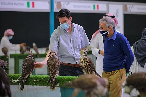 نادي الصقور السعودي يستقبل الصقارين وهواة الصيد بروزنامة حافلة بالفعاليات